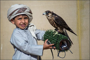 Junior falconers come to the fore at the Fazza Championships