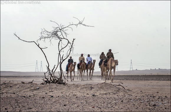 Cultural Camel Trek heading down the home straight