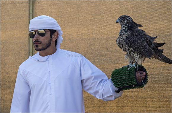 Fortnight-long Fakhr Al Ajyal Pride of the Generation' Championship for Falconry will determine the two fastest birds in the Gulf
