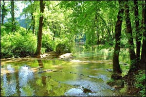 French Pavilion showcases the Franche-Comté region at Gulfood 2016