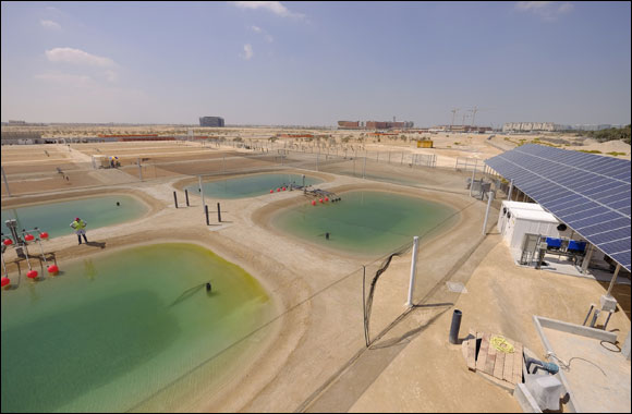 Operations Underway at the World's First Facility Growing Both Food and Fuel in a Desert Ecosystem