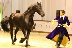 Dubai International Horse Fair draws global and regional community of horse enthusiasts