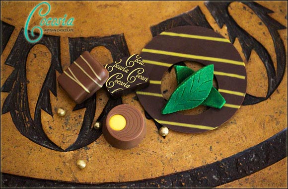 Drift away to the Tropics in Cocosia's Summer Collection