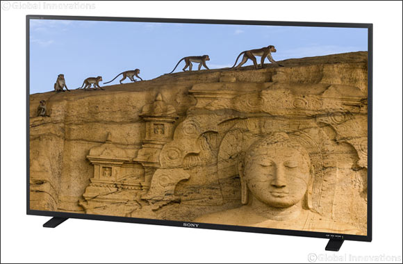 Sony introduces the PVM-X550, a 55 quad-view large screen TRIMASTER EL 4K OLED monitor