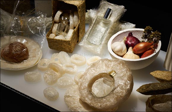 AGAR PLASTICITY wins the Lexus Design Award 2016