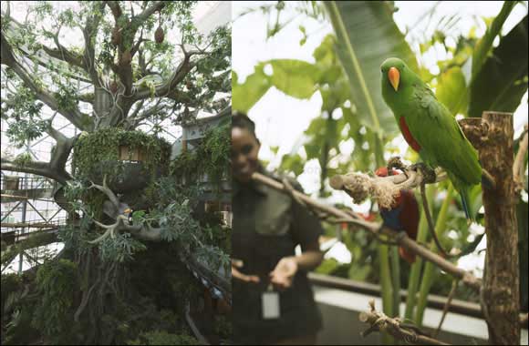 The Region's First Indoor Tropical Forest Opens Doors to Offer Unparalleld Sensory Experience