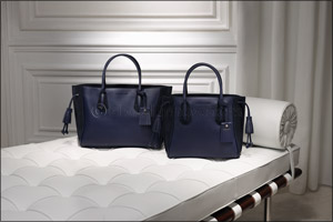 LONGCHAMP Fall 16: Penelope, Freedom in a Tote