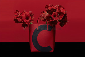 CH Carolina Herrera: Gift Guide Collection