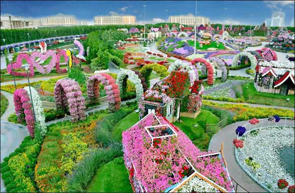 Dubai Miracle Garden all set to bloom ahead of a dramatic winter opening