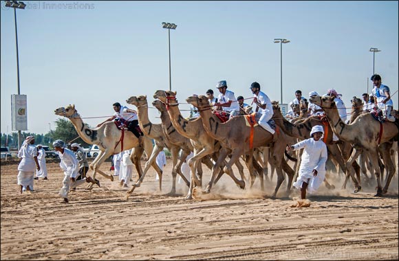 Emirati riders display patriotic fervor as 100 vie for glory in National Day Camel Marathon