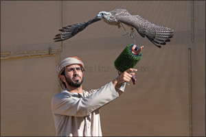 F3 and MRM Falcon teams share honours in National Day Championship for Falconry