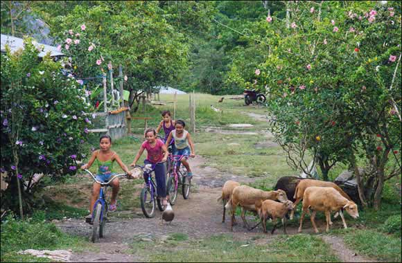 2017 'Year of Giving' - Lush launches new AED 900,000 prize for social and environmental regeneration projects