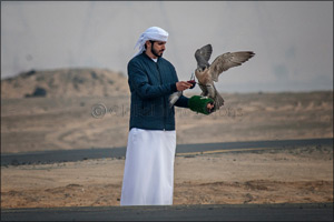 MRM Falcon and F3 fastest as Fazza Championship for Falconry Tilwah kicks off with RC Airplane competition