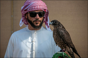 MRM Falcons and F3 shatter records on third day of Fazza Championship for Falconry Tilwah