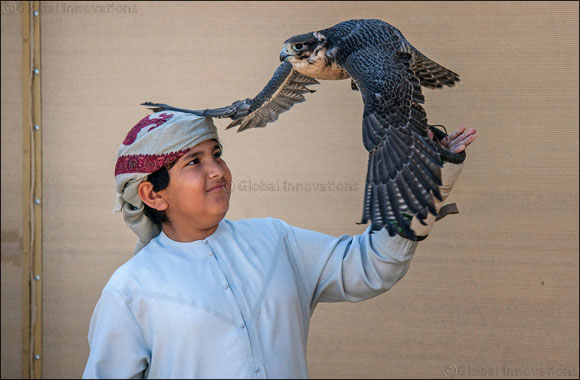 Junior falconers steal limelight in Fazza Championship for Falconry Tilwah