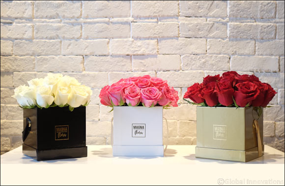 Celebrate the joy of gifting with Magna Flora