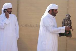 The Falcon ‘Ghaith' makes winning start for Fazza (Sheikh Hamdan) in Falconry Tilwah Championship