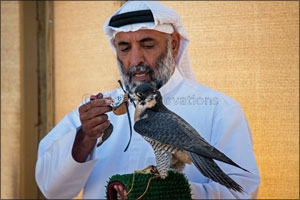 Double triumph for Qatar in Fazza Championship for Falconry Tilwah