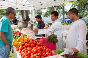 Shop, Eat, and Play at Bay Square and Bay Avenue!