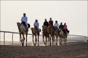 Emiratis and expatriates embark on marathon ‘Camel Trek' in the desert of the UAE