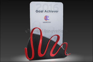 BinHendi Enterprises proudly accepts the ‘Goal Achiever Award' from Landscape Structures Inc.