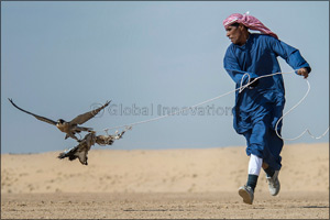 Qatar falconers dominate GCC event in Fazza Championship for Falconry Tilwah ‘Fakhr Al Ajyal'
