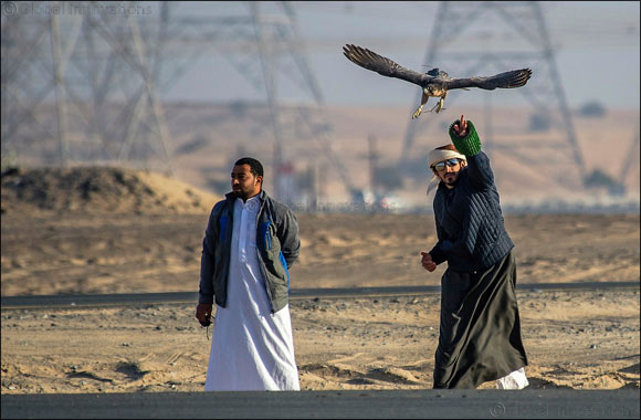 MRM falcon is fastest in qualifying round of RC Airplane (Sheikhs category) of Fazza Championship for Falconry Tilwah �Fakhr Al Ajyal'