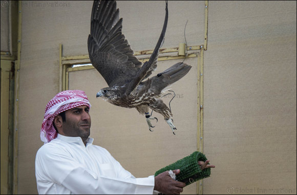 Majestic win for Sheikh Hamdan's falcon �Ghaith' in �Fakhr Al Ajyal' Championship for Falconry Tilwah