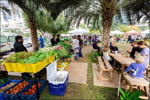 Dubai Properties (DP) survey reveals 84% of Dubai residents want to be more involved in their local community