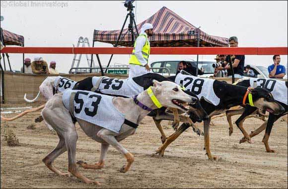 Six winners in Professional and Amateur categories crowned in 10th edition of Saluki Championships