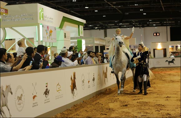 Dubai International Horse Fair Launches Instagram Competition With Hamdan Bin Mohammed Bin Rashid Al Maktoum International Photography Award