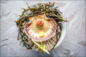 Etihad Airways Crowns Winner of ‘Taste the World' at Taste of Hong Kong