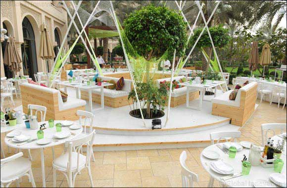 Sababa Lounge Opening