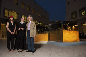 Winning submission for The Christo and Jeanne-Claude Award 2017 unveiled