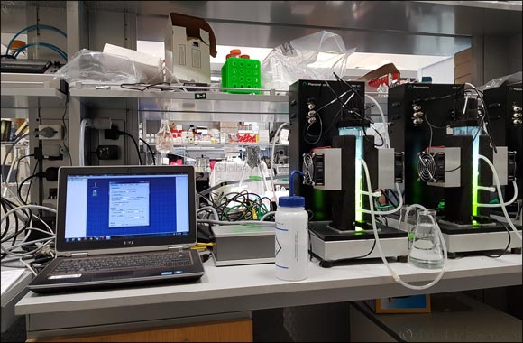NYU Abu Dhabi researchers identify unique UAE green alga with properties that may provide an alternative to palm oil