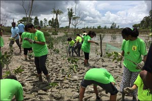 Youth actions to conserve our biodiversity - Green Hope's Sunderbans project