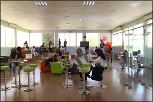 Focusing on Entrepreneurship among Skyline University Students
