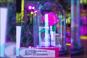 UAE consumers pick 2XL as their favourite interiors brand for home accessories