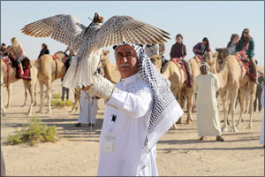Initiatives of the 4th International Festival of Falconry in Khalifa Park Inaugurated Today