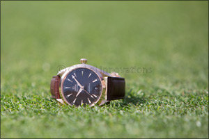 An 18K gold Seamaster Aqua Terra awaits  the winner of the OMEGA Dubai Desert Classic