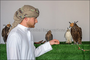 Briton's falconry ambitions soar as falcon ‘English' takes flight