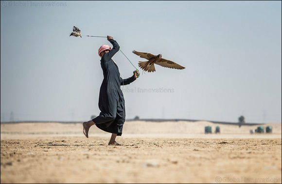 Phenomenal development in falconry racing from small beginnings: HHC Deputy CEO
