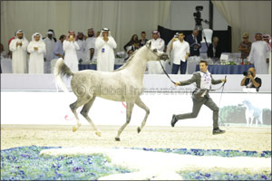10 Must-see Activities at Dubai International Horse Fair This Week