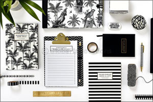 Discover Alice Scott's Spring/Summer 18' Stationary Collection