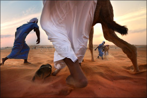 Sony World Photography Awards 2018 edition announces winner in the UAE