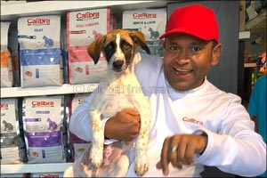 Poor nutrition is the leading cause of diseases in furry friends