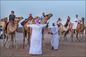 Registration for the 5th edition of Camel Trek is now open
