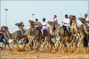 National Day Camel Marathon set to take place in February