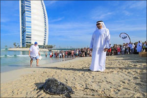 Dubai Tourism Extends Its Support to Local Turtle Rehabilitation Project