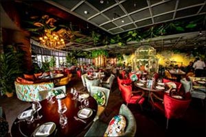 The Beasts Will Be Unleashed: Mamazonia Launches Friday Brunch